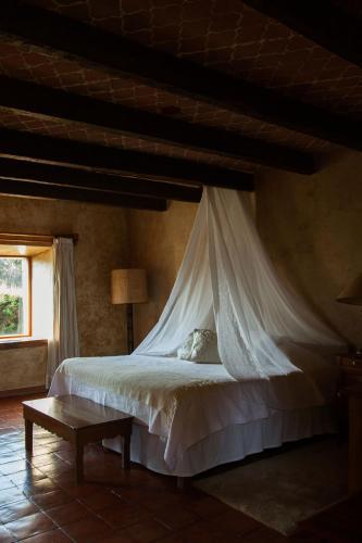 Hotel Hacienda San Andr�s