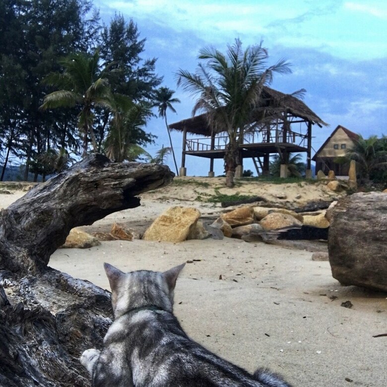 Bed & Breakfast Kijalena Beach Bnb