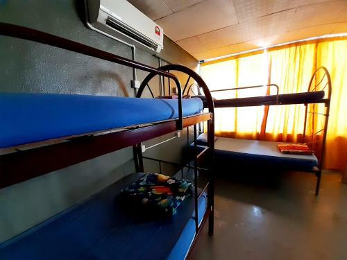 Albergue Bonobo Bed & Breakfast House