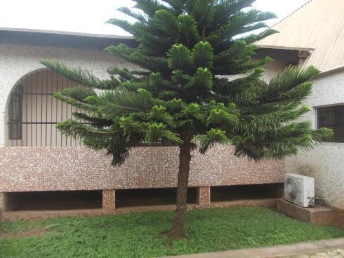 Conference Hotel & Suites Ijebu