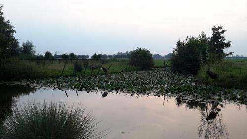 Bed & Breakfast Theetuin Gebroeders Van Lint