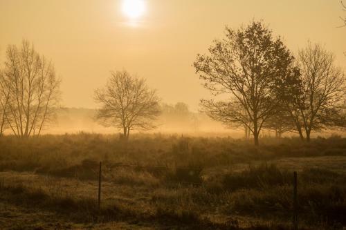 Bed & Breakfast De Vrolijcke Bosmuis