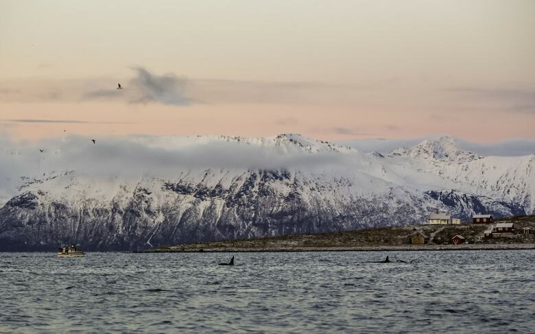 Hotell Maritim Skjervoy
