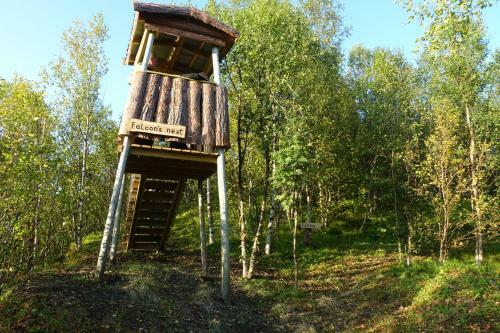 Wild Caribou Dome