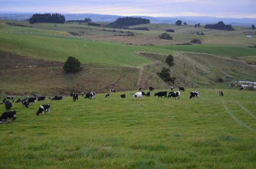 Hostal Quality Rural Stay Catlins Guesthouse