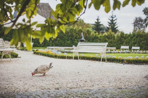 Hotel Pa?ac Brun�w