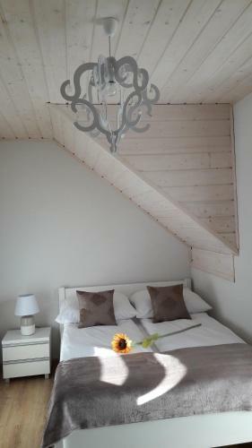 Apartamento Domki Luksusowe Marina
