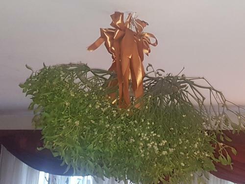 Hostal Willa Marysin