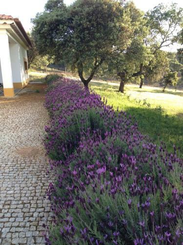Agroturismo Monte Vale Mosteiro