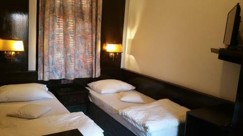 Hostal Conacul Balta Alba