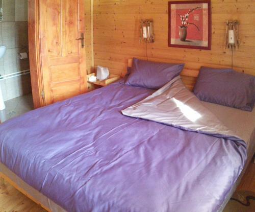 Bed & Breakfast Pensiunea Moldovan