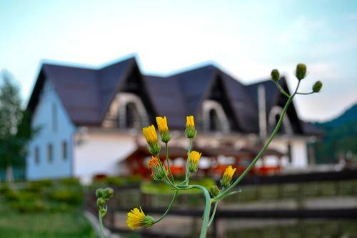 Hostal Poiana Rasnoavei