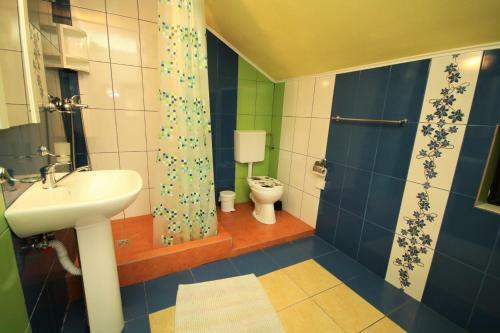 Hostal Pensiunea Ciobanelu