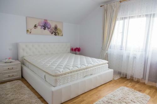 Hostal Pensiunea Andrei
