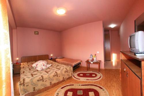 Hostal Pensiunea Soreanca