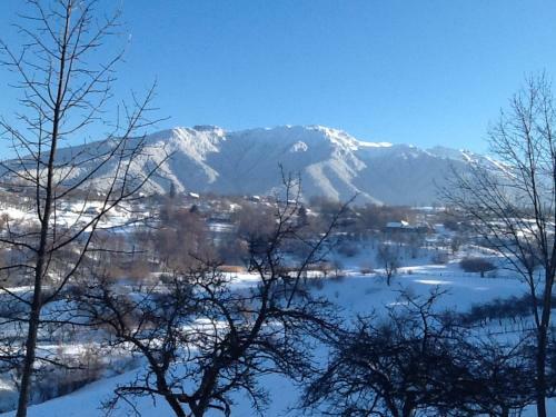 Bed & Breakfast Ortansa