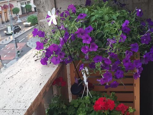 Apartamento University Central By Orchid Garden