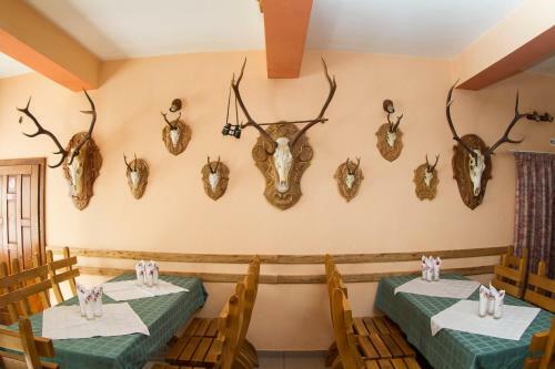 Hostal Pensiunea Vanatorul