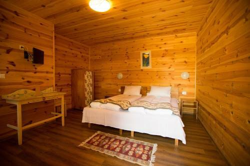 Lodge Pensiunea Balkan Expres