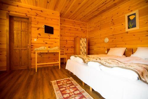 Lodge Pensiunea Balkan Expres