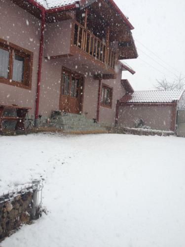 Casa Darius