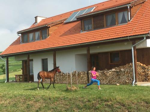 Hostal Kavalliera Pensiune