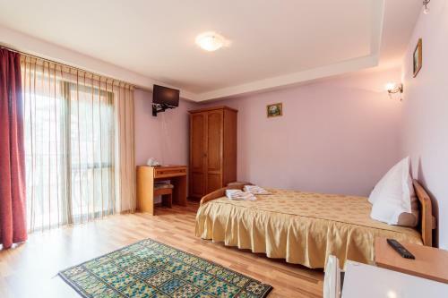 Hostal Pensiunea Alis
