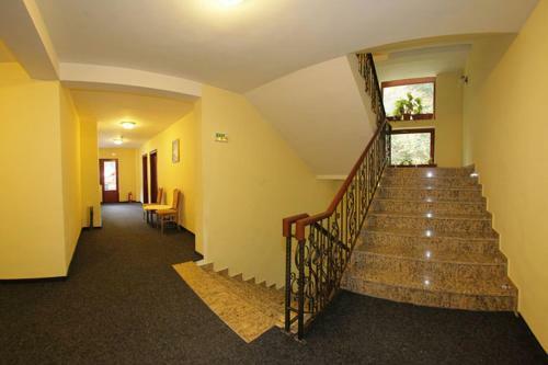 Hotel Paltinis