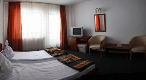 Hotel Paltinis
