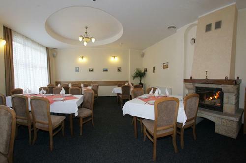 Hotel Paltinis