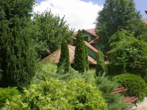 Hostal Vinski Dvor