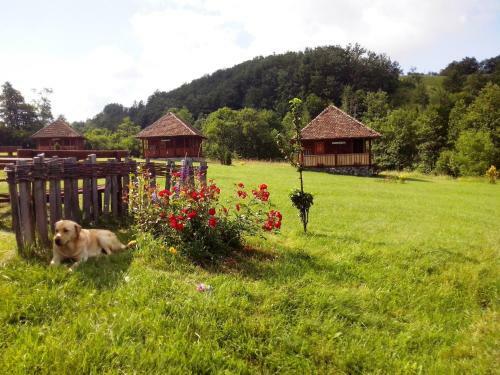 Etno Village Gostoljublje