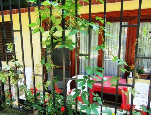 Hostal Guest House Keserovic