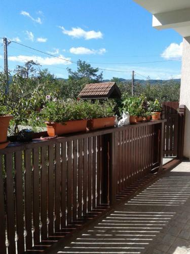 Agroturismo Casuta Dintre Salcii
