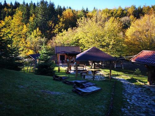 Hostal Pensiunea Nedeia