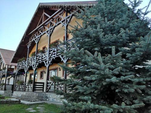 Hostal Pensiunea Nedeia