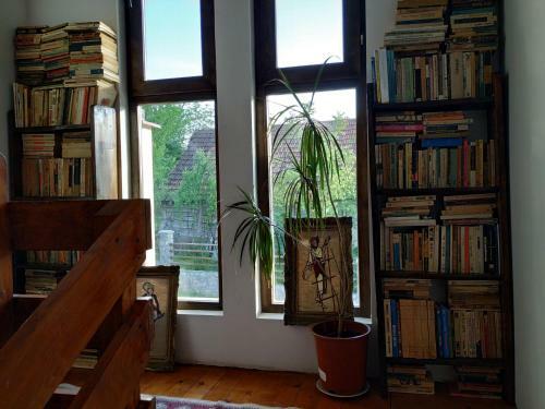 Hostal Pensiunea Carma