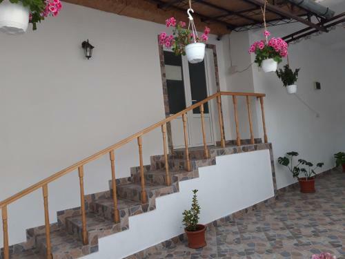 Agroturismo Casa Valea Morilor
