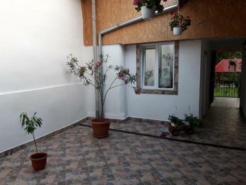 Agroturismo Casa Valea Morilor