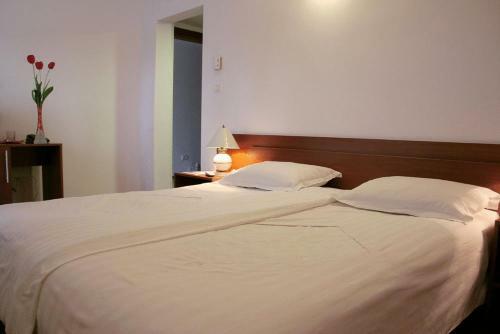 Hotel Timisoara Sannicolau Mare