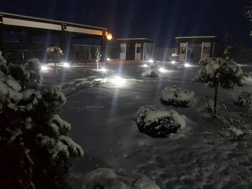 Hostal Mondrian Event & Garden