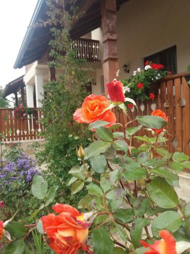 Hostal Pensiunea Obcina Mare