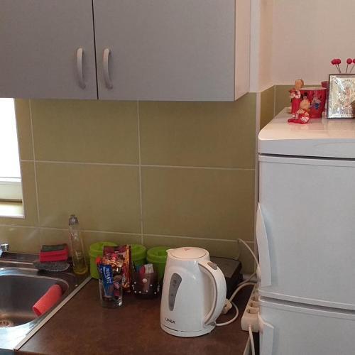 Studio Apartman Centar Sre?a