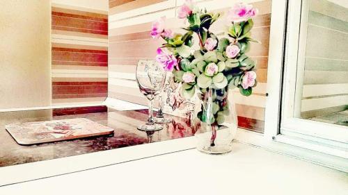 Studio Apartman Centar Sre?a