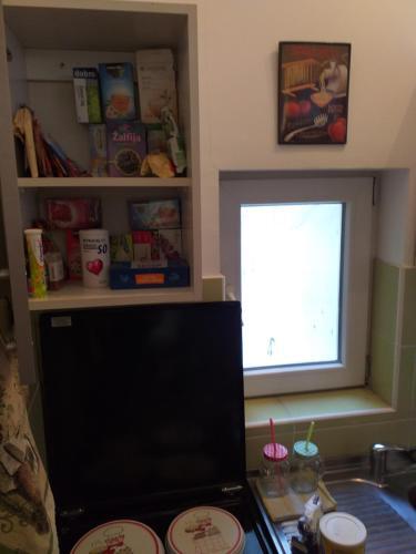Studio Apartman Centar Sre?a