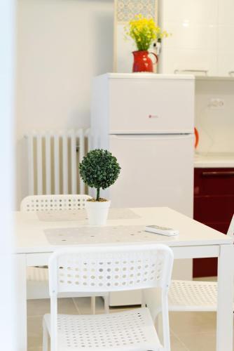 Vertigo Apartment