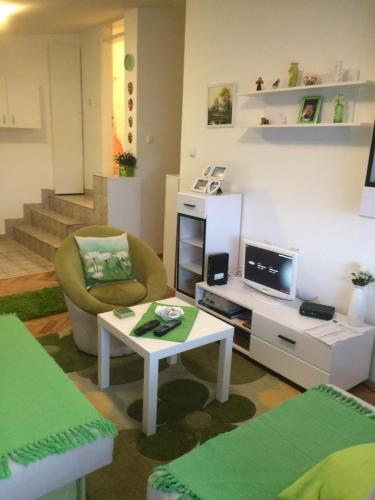 Apartment Sa?a