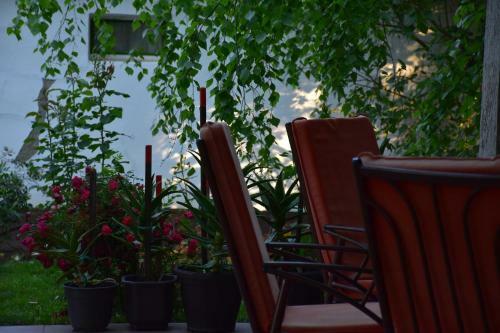 Hostal Guest House Breza