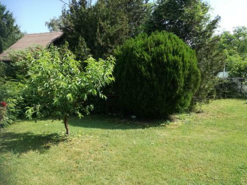 Hostal Apartment And Rooms Dedine Golubac