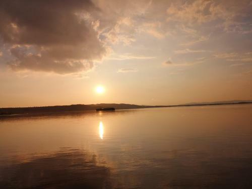 Hostal Apartment And Rooms Dedine Golubac